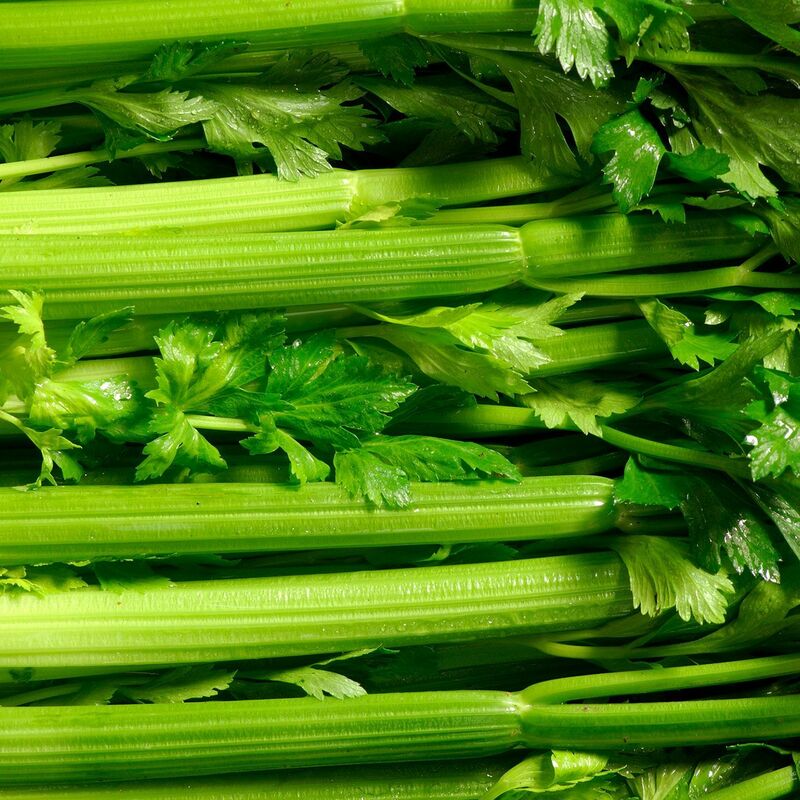 Celery